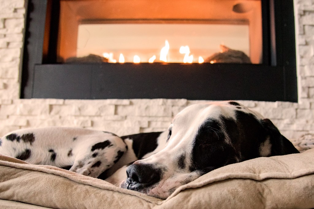 Feu de Bois, Gaz ou Virtuel : Trouve la Cheminée de tes Rêves&nbsp;!